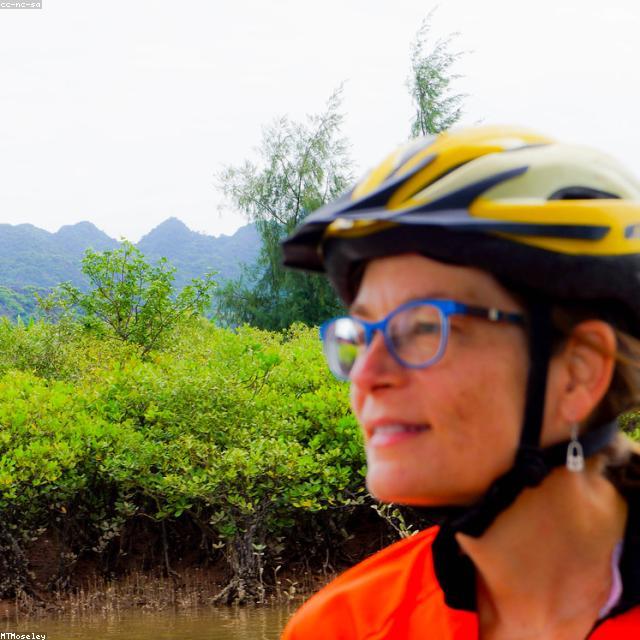 Realme Helm Sepeda Klasik Abu-abu